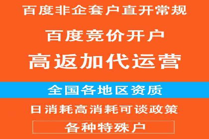 百度竞价广告的投放策略与成功案例分析